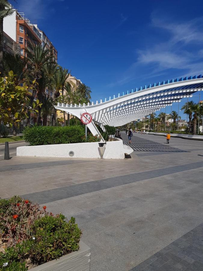 Apartament Carmen Torrevieja Ngoại thất bức ảnh